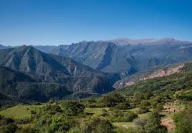 Výsledek obrázku pro yungas