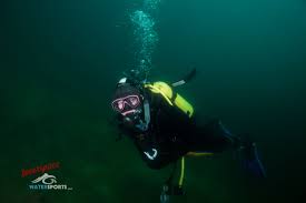 Image result for innerspace divers