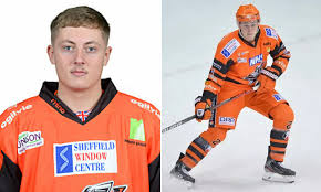 Image result for Sheffield Steelers