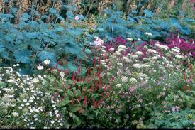 Image result for Priona Tuinen