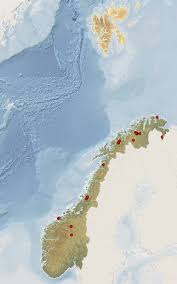 Attēlu rezultāti vaicājumam “Hemerobius perelegans”