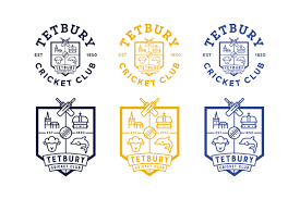 Image result for Timsbury Cricket Club