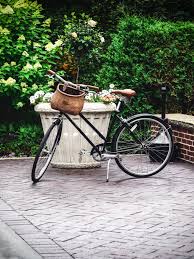 Image result for bicycle basket