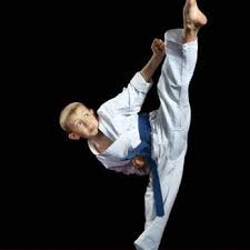Image result for America's Best Karate Chandler