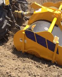 Image result for selvatici tehron