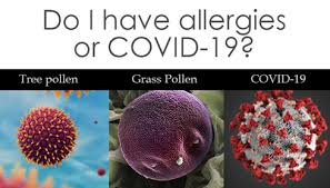 Attēlu rezultāti vaicājumam “pollen corona”