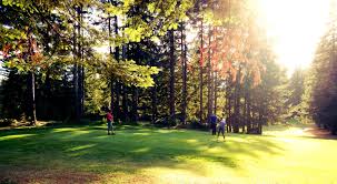 Image result for Delphi Bowls Club