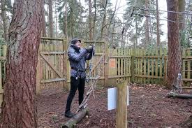 Image result for Go Ape! Thetford