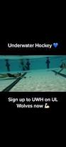 Image result for Dublin Underwater Hockey Team