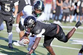 Image result for Hambro Colts Y F C