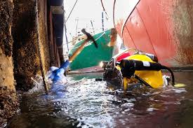 Image result for Bedford Scuba Divers