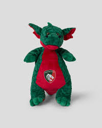 Image result for leicester dragons