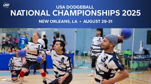 Image result for York University Dodgeball Club