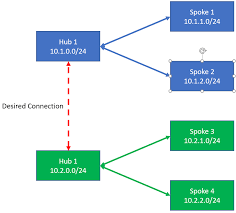 Image result for hub and spoke network