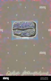 Attēlu rezultāti vaicājumam “Didymium serpula young”