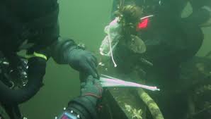 Image result for Birmingham BSAC 25