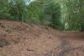 Image result for Cadnam Cricket Club