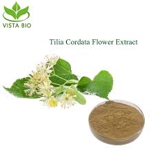 Attēlu rezultāti vaicājumam “Tilia cordata flower”