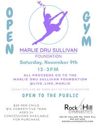 Image result for Child`s Hill Gymnastics Club