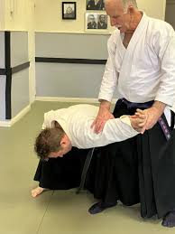 Image result for kyokujitsu Kai