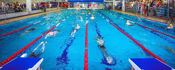 Image result for Downham & District Swimming Club