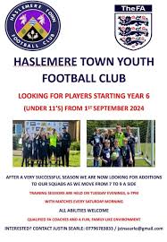 Image result for Haslemere Town Youth Football Club
