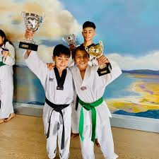 Image result for Bytomic Tae Kwon Do Windsor