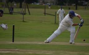 Image result for Haughton Cricket Club