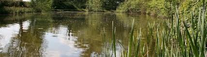 Image result for Cobham Court Angling Club