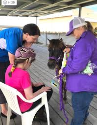 Image result for Riding For The Disabled Association