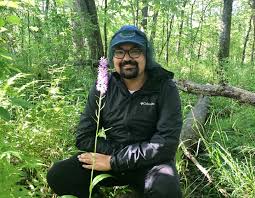 Attēlu rezultāti vaicājumam “Homalia trichomanoides sporophyte”