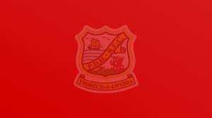 Image result for Pembroke Dock Harlequins RFC