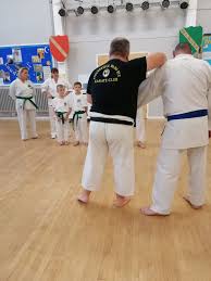 Image result for Dumfries Wado Ryu  Karate club