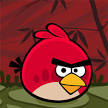 How to kill pigs all year round  The Angry Birds Seasons Guide
