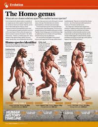 Image result for genus