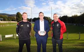 Image result for Rostrevor Hurling Club