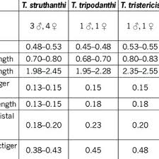 Attēlu rezultāti vaicājumam “Trioza dispar”