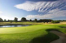 Image result for Central London Golf Club