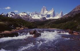 Attēlu rezultāti vaicājumam “Postia tephroleucus”