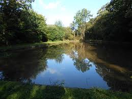 Image result for Strines Tennis Club