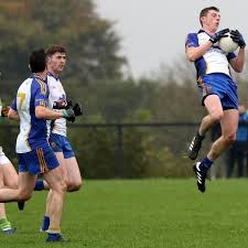 Image result for Rostrevor Hurling Club