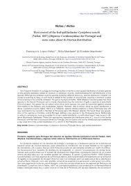 Attēlu rezultāti vaicājumam “Cystiphora sanguinea”