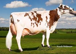 「アリス・ルイーズ・オブ・ナヴァール」の画像検索結果