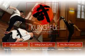 Image result for Imperial Karate Club