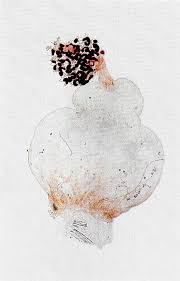 Attēlu rezultāti vaicājumam “Cribraria vulgaris spores”