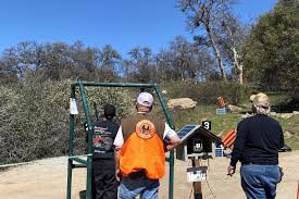 Image result for Clyde Valley Pistol Club