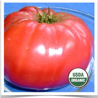 Afbeeldingsresultaat voor caro rich tomato