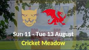 Image result for Bridgnorth Cricket Club