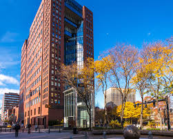 Image result for Cambridge N C I Cc