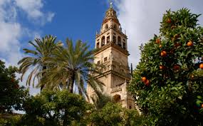 Image result for www.uco.es